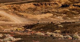 [国足]全面压制 中国U16男足大胜巴林队